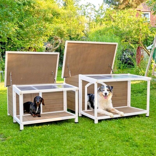 Outdoor dog kennel outside - dog,