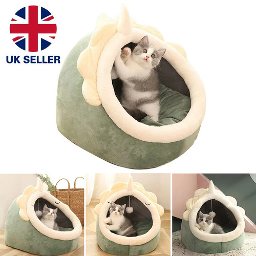 Pet cat warm soft - house,