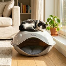 Cat Dog Bed Windproof Outdoor