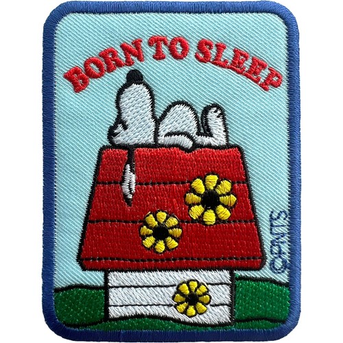 Snoopy sleeping dog house - snoopy,