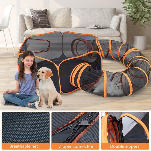 Big pet cat dog - 1,